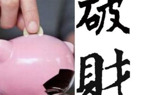 壁虎在家里是什么征兆_有什么寓意在其中,第2张 壁虎在家里是什么征兆_有什么寓意在其中,第2张